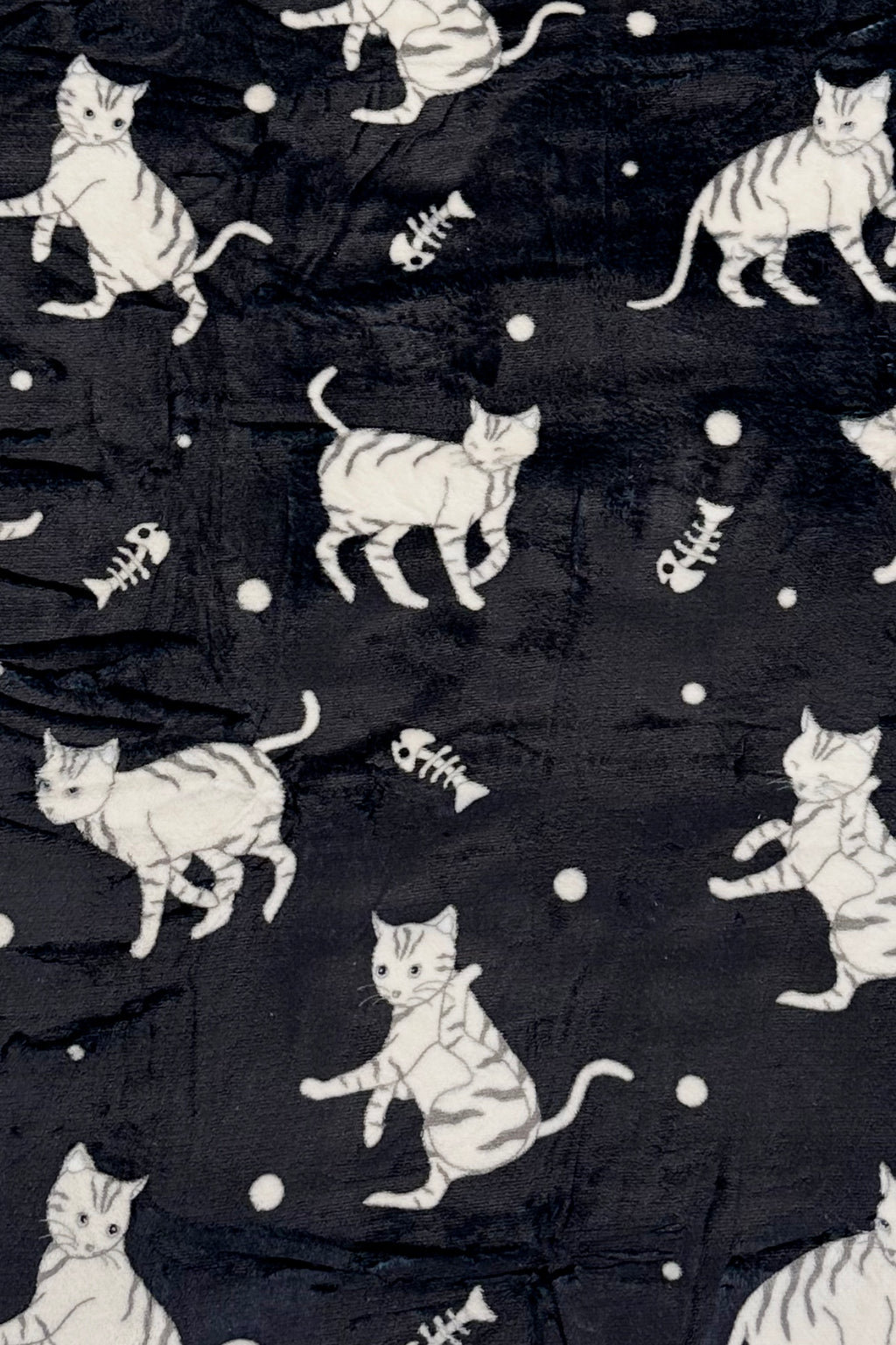 Black Cat