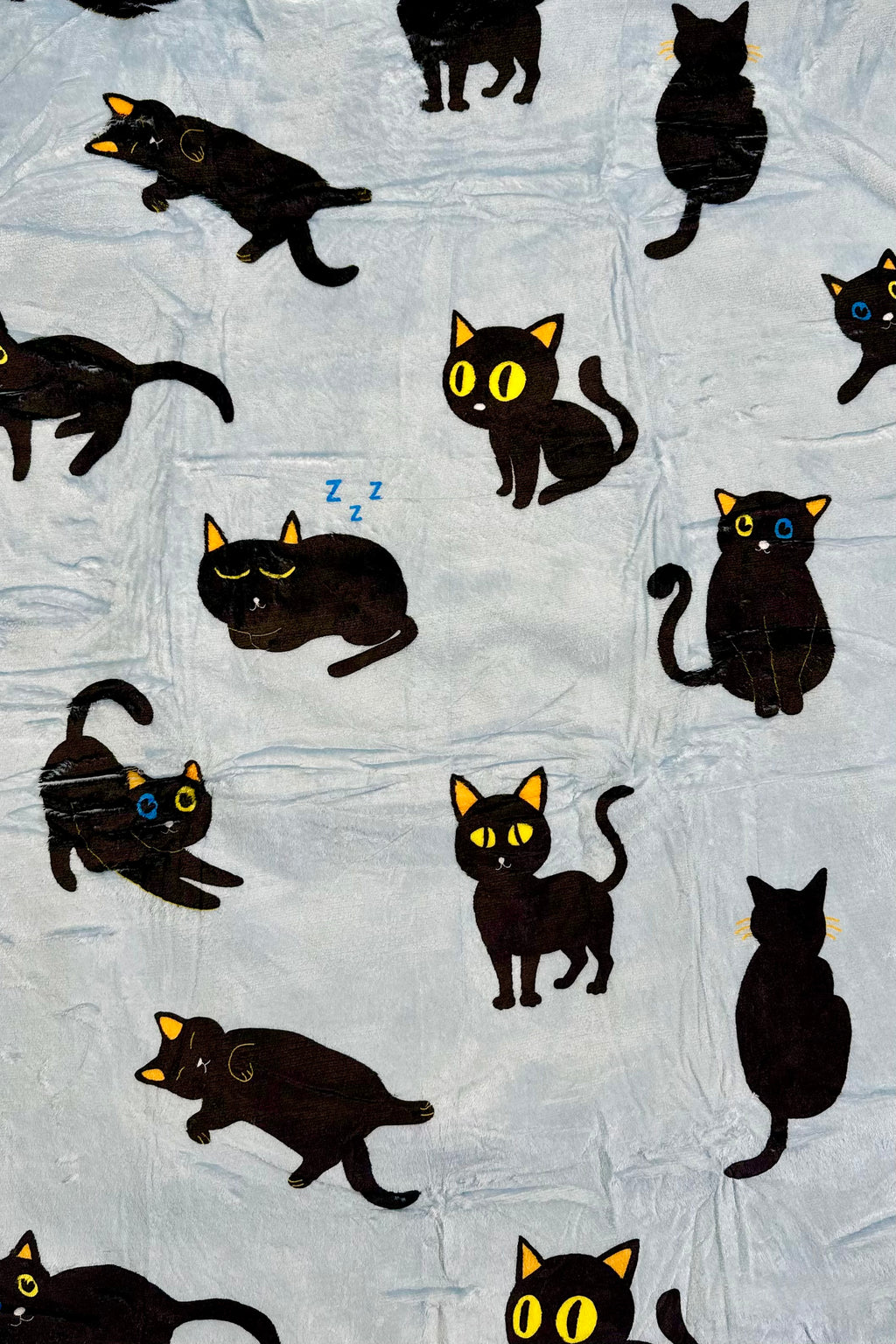 Blue Cat