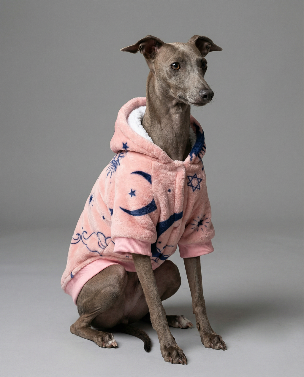 Dog deely