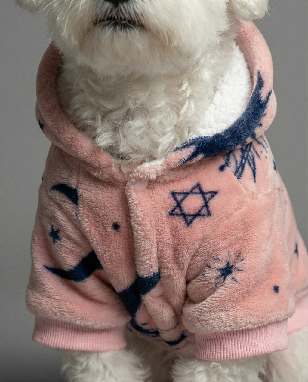 Dog deely